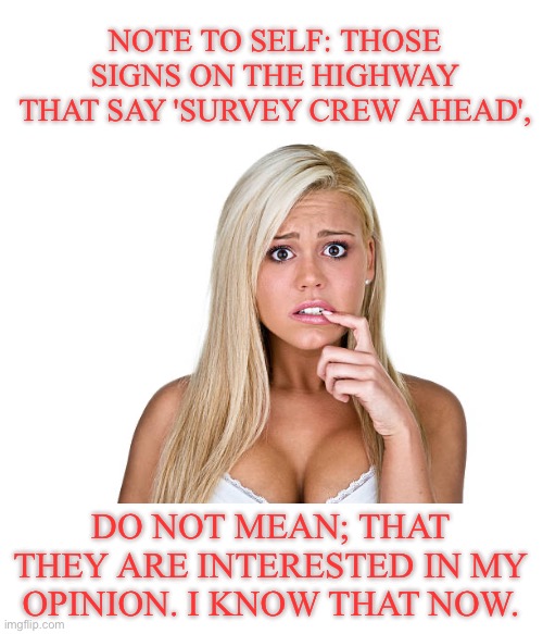 Note | NOTE TO SELF: THOSE SIGNS ON THE HIGHWAY THAT SAY 'SURVEY CREW AHEAD', DO NOT MEAN; THAT THEY ARE INTERESTED IN MY OPINION. I KNOW THAT NOW. | image tagged in dumb blonde | made w/ Imgflip meme maker