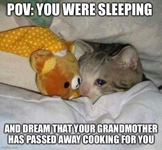 :( | POV: YOU WERE SLEEPING; AND DREAM THAT YOUR GRANDMOTHER HAS PASSED AWAY COOKING FOR YOU | image tagged in crying cat | made w/ Imgflip meme maker