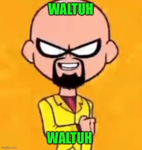 Walter white robin | WALTUH WALTUH | image tagged in walter white robin | made w/ Imgflip meme maker