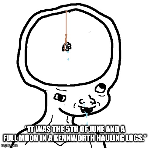 Dumb wojak | “IT WAS THE 5TH OF JUNE AND A FULL MOON IN A KENNWORTH HAULING LOGS.” | image tagged in dumb wojak | made w/ Imgflip meme maker