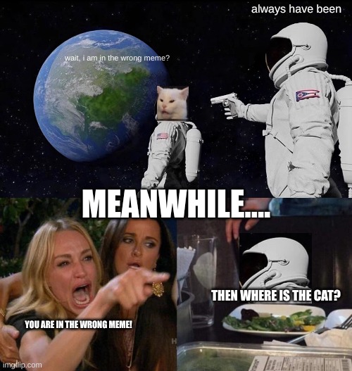 a crossover meme made by me (sorry for sloppy cropping, i used imgflip alone to make it so it was hard to crop perfectly) | always have been; wait, i am in the wrong meme? MEANWHILE.... THEN WHERE IS THE CAT? YOU ARE IN THE WRONG MEME! | image tagged in memes,always has been,woman yelling at cat,funny,crossover,crossover memes | made w/ Imgflip meme maker