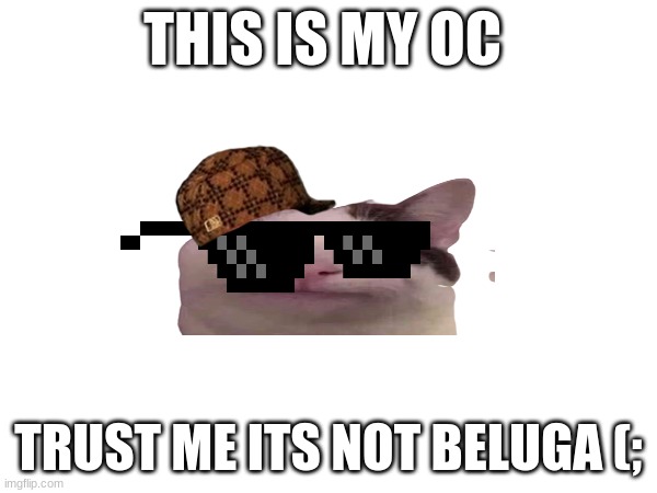 THIS IS MY OC; TRUST ME ITS NOT BELUGA (; | made w/ Imgflip meme maker