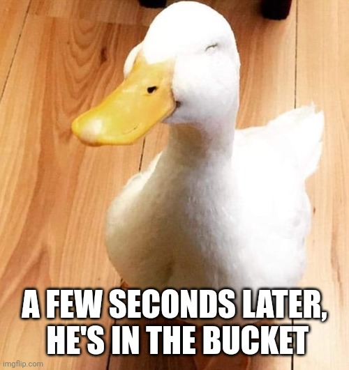 SMILE DUCK | A FEW SECONDS LATER,
 HE'S IN THE BUCKET | image tagged in smile duck | made w/ Imgflip meme maker