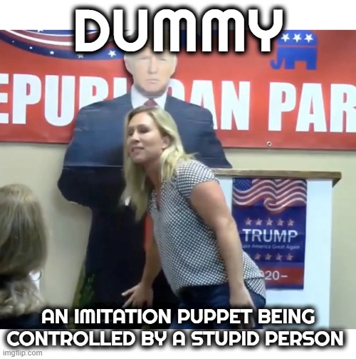 DUMMY | DUMMY; AN IMITATION PUPPET BEING CONTROLLED BY A STUPID PERSON | image tagged in dummy,imitation,stupid,puppet,idiot,fool | made w/ Imgflip meme maker