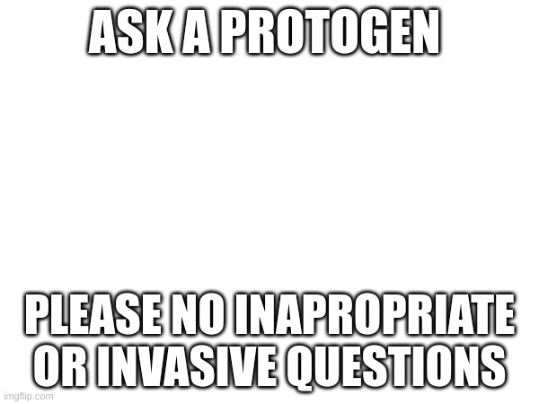 Ask a protogen | ASK A PROTOGEN; PLEASE NO INAPROPRIATE OR INVASIVE QUESTIONS | image tagged in furry,ask,a,protogen | made w/ Imgflip meme maker