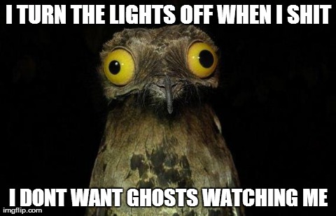 Weird Stuff I Do Potoo | I TURN THE LIGHTS OFF WHEN I SHIT I DONT WANT GHOSTS WATCHING ME | image tagged in memes,weird stuff i do potoo,AdviceAnimals | made w/ Imgflip meme maker