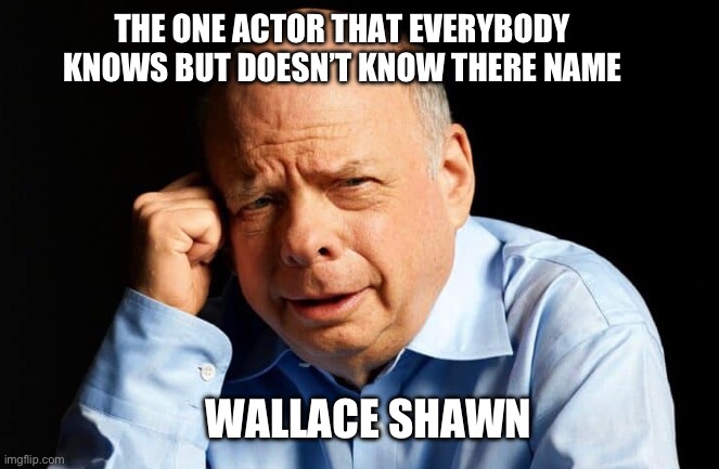 We should all agree….who actually knows his name!? | THE ONE ACTOR THAT EVERYBODY KNOWS BUT DOESN’T KNOW THERE NAME; WALLACE SHAWN | image tagged in funny,relatable | made w/ Imgflip meme maker