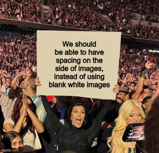 Wouldn't it be great? :D | We should be able to have spacing on the side of images, instead of using blank white images | made w/ Imgflip meme maker