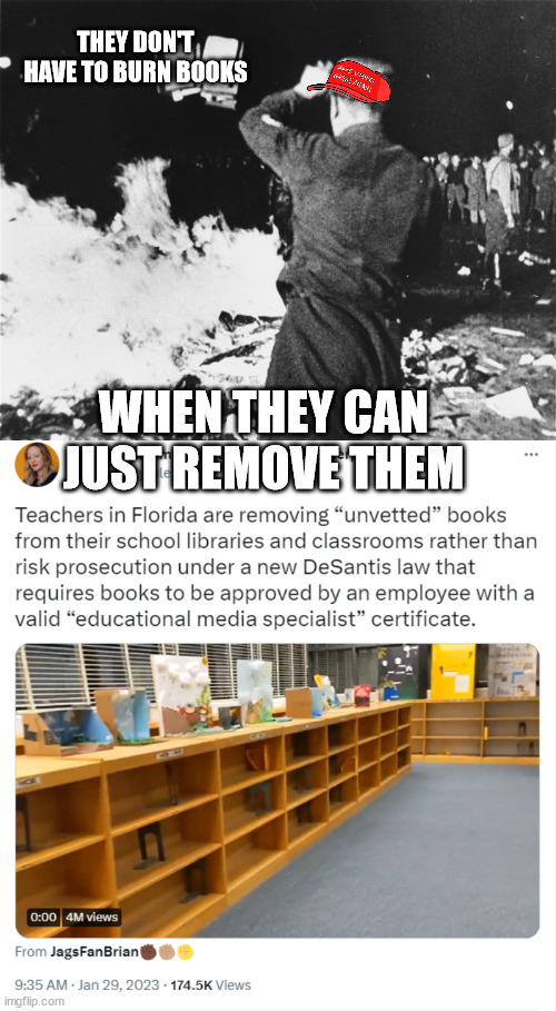 THEY DON'T HAVE TO BURN BOOKS; WHEN THEY CAN JUST REMOVE THEM | image tagged in book burning nazi germany | made w/ Imgflip meme maker