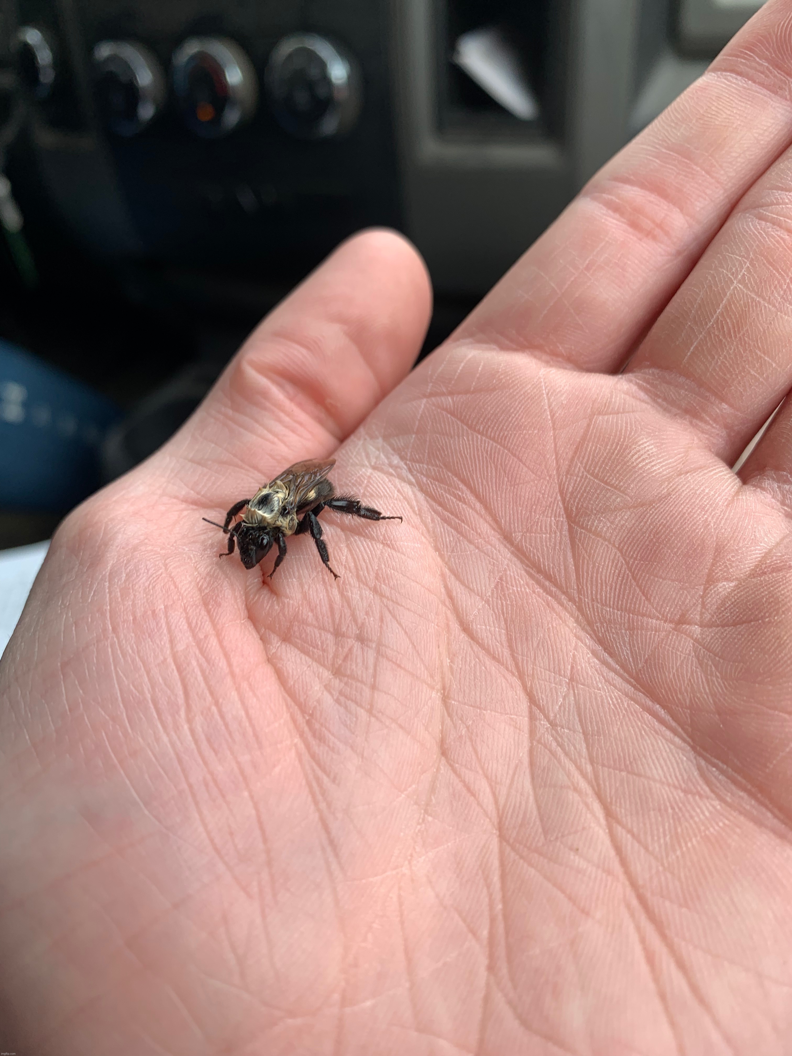 Made a friend | made w/ Imgflip meme maker