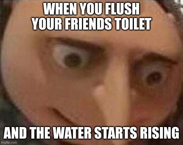 gru meme | WHEN YOU FLUSH YOUR FRIENDS TOILET; AND THE WATER STARTS RISING | image tagged in gru meme | made w/ Imgflip meme maker