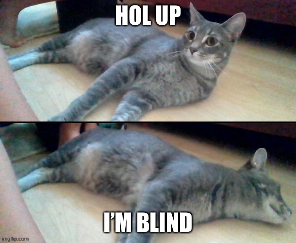 Hol' up, oh nevermind | HOL UP I’M BLIND | image tagged in hol' up oh nevermind | made w/ Imgflip meme maker