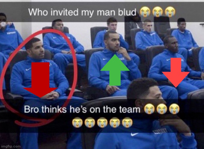 Who are you???? | image tagged in bro thinks he's on the team,upvote,downvote,imgflip upvote,imgflip downvote,red arrow | made w/ Imgflip meme maker