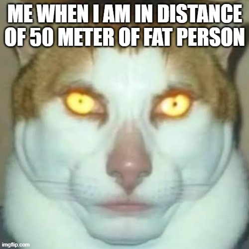 happened many times | ME WHEN I AM IN DISTANCE OF 50 METER OF FAT PERSON | image tagged in sigma cat,true story | made w/ Imgflip meme maker