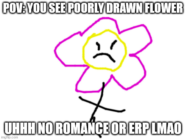 POV: YOU SEE POORLY DRAWN FLOWER; UHHH NO ROMANCE OR ERP LMAO | made w/ Imgflip meme maker
