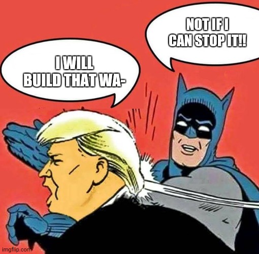 The Dark Knight | NOT IF I CAN STOP IT!! I WILL BUILD THAT WA- | image tagged in batman slapping trump,donald trump,batman | made w/ Imgflip meme maker