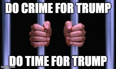 suckers... | DO CRIME FOR TRUMP; DO TIME FOR TRUMP | image tagged in prison bars,sucker,criminals | made w/ Imgflip meme maker