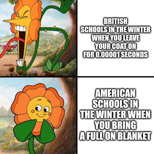 angry flower | BRITISH SCHOOLS IN THE WINTER WHEN YOU LEAVE YOUR COAT ON FOR 0.00001 SECONDS; AMERICAN SCHOOLS IN THE WINTER WHEN YOU BRING A FULL ON BLANKET | image tagged in angry flower | made w/ Imgflip meme maker