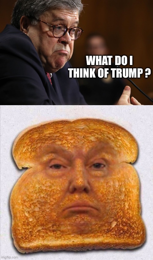 WHAT DO I THINK OF TRUMP ? | image tagged in bill barr,trump with over 200 instances of financial fraud is toast | made w/ Imgflip meme maker