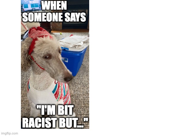 WHEN SOMEONE SAYS; "I'M BIT RACIST BUT..." | image tagged in idk girl | made w/ Imgflip meme maker