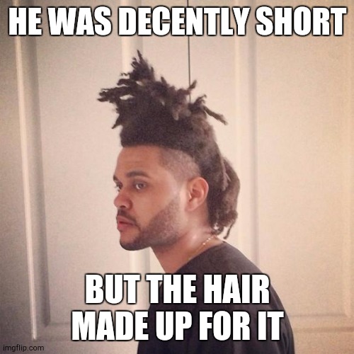 The Weeknd | HE WAS DECENTLY SHORT; BUT THE HAIR MADE UP FOR IT | image tagged in the weeknd | made w/ Imgflip meme maker