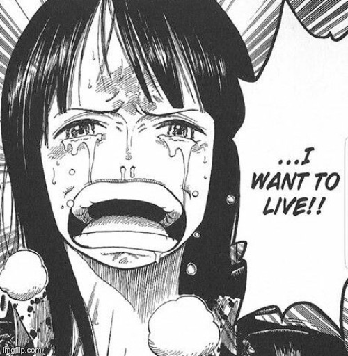 Nice Robin I want to live | image tagged in nice robin i want to live | made w/ Imgflip meme maker