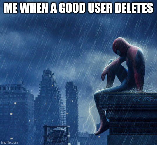 Ik i did twice but still.... | ME WHEN A GOOD USER DELETES | image tagged in spiderman sitting in rain | made w/ Imgflip meme maker