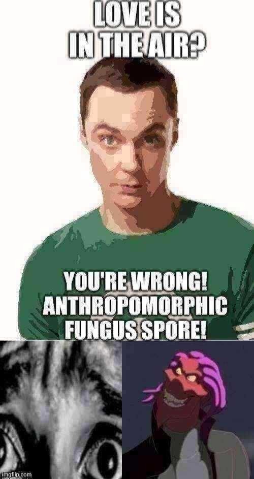 You're wrong! | made w/ Imgflip meme maker