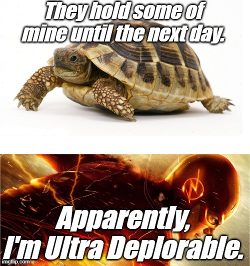 Slow vs Fast Meme | They hold some of mine until the next day. Apparently, I'm Ultra Deplorable. | image tagged in slow vs fast meme | made w/ Imgflip meme maker