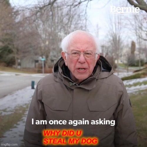 Dog stealer | WHY DID U STEAL MY DOG | image tagged in memes,bernie i am once again asking for your support | made w/ Imgflip meme maker
