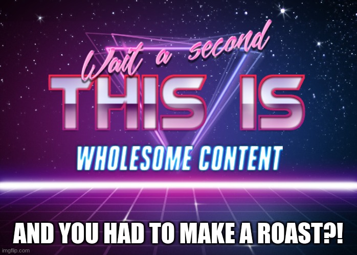 Wait a second this is wholesome content | AND YOU HAD TO MAKE A ROAST?! | image tagged in wait a second this is wholesome content | made w/ Imgflip meme maker