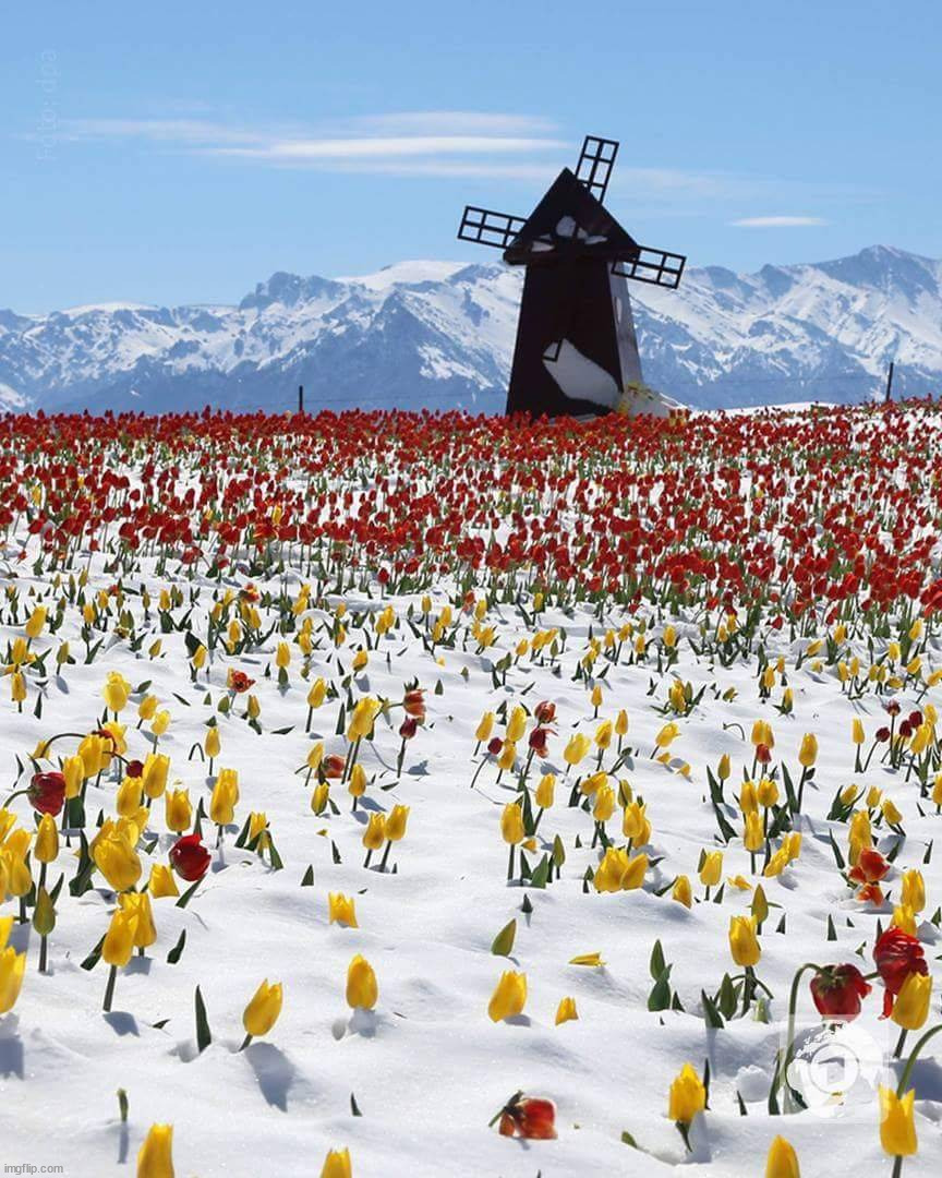 image tagged in awesome | made w/ Imgflip meme maker