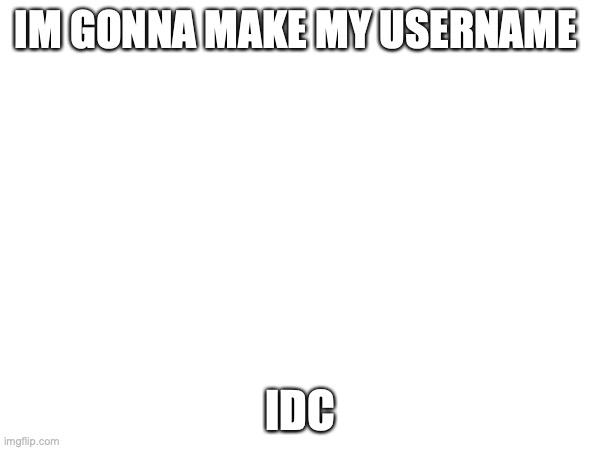 IDC | IM GONNA MAKE MY USERNAME; IDC | image tagged in usernames,idc | made w/ Imgflip meme maker