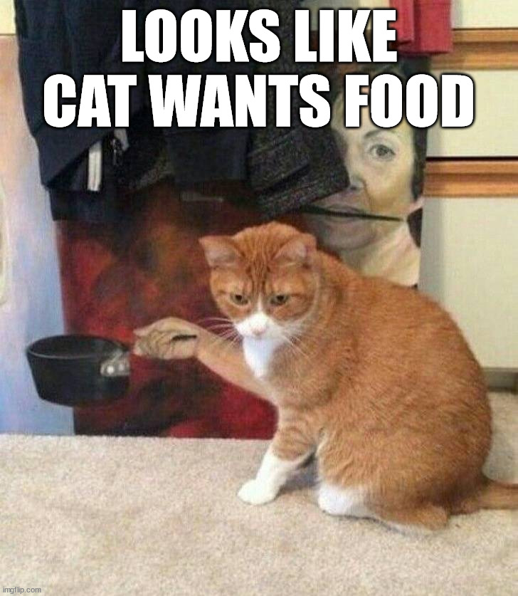 LOOKS LIKE CAT WANTS FOOD | made w/ Imgflip meme maker