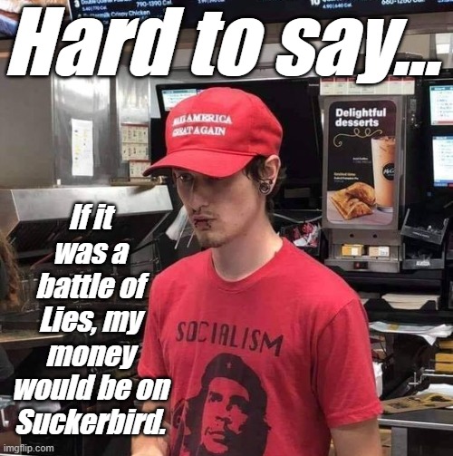 Undecided voter | Hard to say... If it was a battle of Lies, my money would be on Suckerbird. | image tagged in undecided voter | made w/ Imgflip meme maker