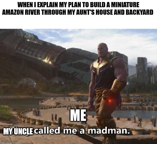 Build that River I did | WHEN I EXPLAIN MY PLAN TO BUILD A MINIATURE AMAZON RIVER THROUGH MY AUNT'S HOUSE AND BACKYARD; ME; MY UNCLE | image tagged in thanos they called me a madman | made w/ Imgflip meme maker