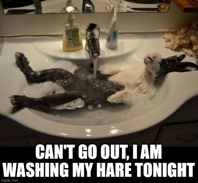 CAN'T GO OUT, I AM WASHING MY HARE TONIGHT | image tagged in eyeroll | made w/ Imgflip meme maker