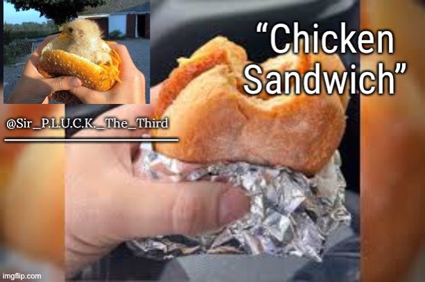 Chicken sandwich (thanks behapp) Blank Meme Template