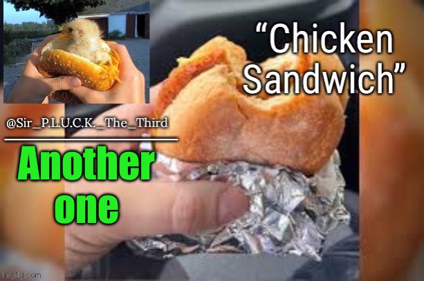 Chicken sandwich (thanks behapp) | Another one | image tagged in chicken sandwich | made w/ Imgflip meme maker
