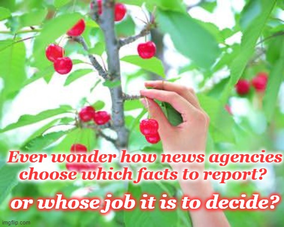 cherry pickt | Ever wonder how news agencies choose which facts to report? or whose job it is to decide? | image tagged in cherry picking,who picked this | made w/ Imgflip meme maker