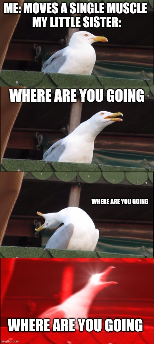 Image tittle | ME: MOVES A SINGLE MUSCLE 
MY LITTLE SISTER:; WHERE ARE YOU GOING; WHERE ARE YOU GOING; WHERE ARE YOU GOING | image tagged in memes,inhaling seagull | made w/ Imgflip meme maker