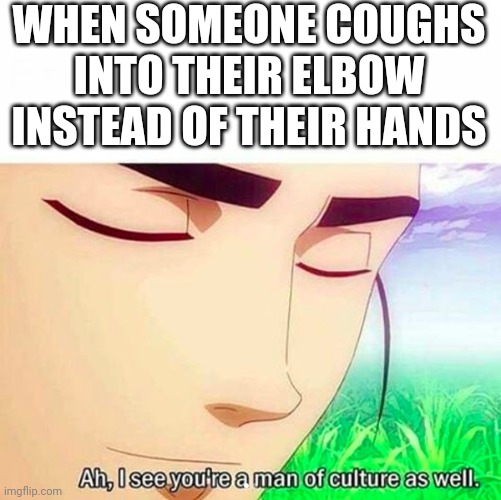 Seriously why do people cough into their hands | WHEN SOMEONE COUGHS INTO THEIR ELBOW INSTEAD OF THEIR HANDS | image tagged in ah i see you are a man of culture as well,nohitwonder,cough,covid-19,flu | made w/ Imgflip meme maker