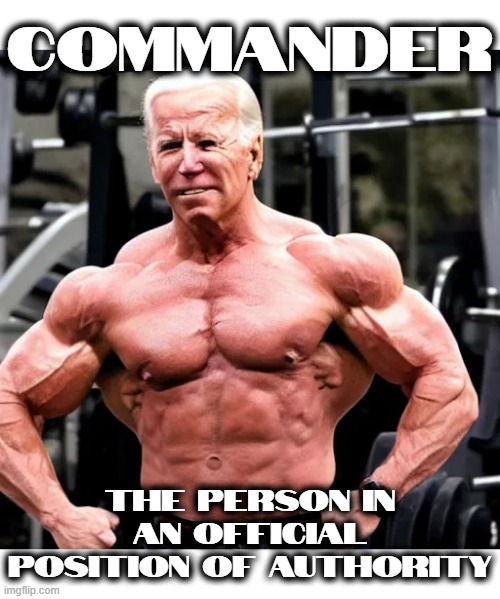 COMMANDER | COMMANDER; THE PERSON IN AN OFFICIAL POSITION OF AUTHORITY | image tagged in commander,authority,boss,chief,leader,president | made w/ Imgflip meme maker