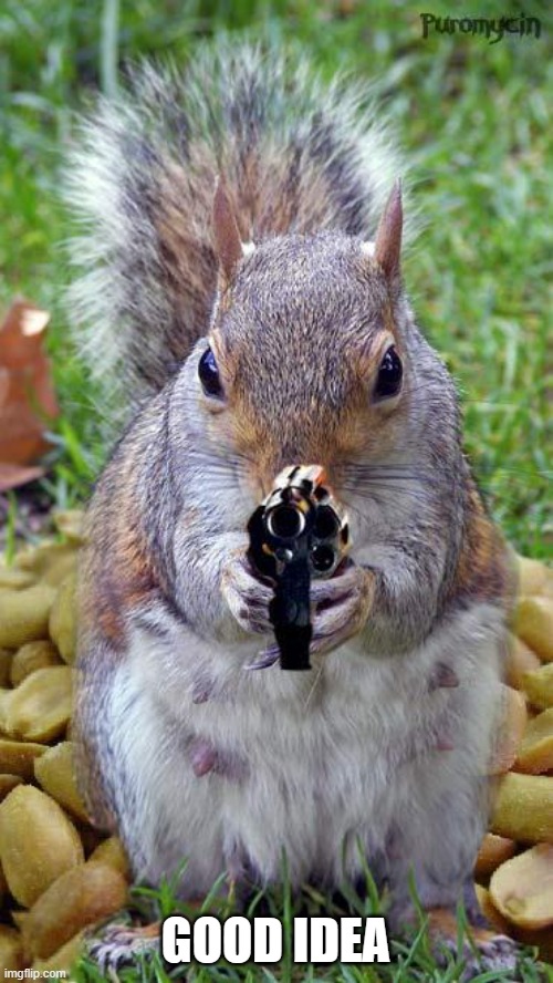 funny squirrels with guns (5) | GOOD IDEA | image tagged in funny squirrels with guns 5 | made w/ Imgflip meme maker