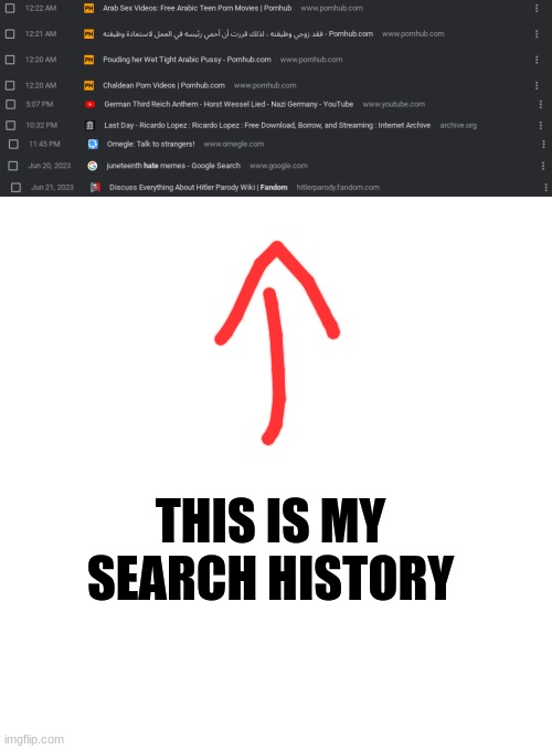 EEEEEE | THIS IS MY SEARCH HISTORY | image tagged in memes,blank transparent square,pornhub,porn,browser history,search history | made w/ Imgflip meme maker