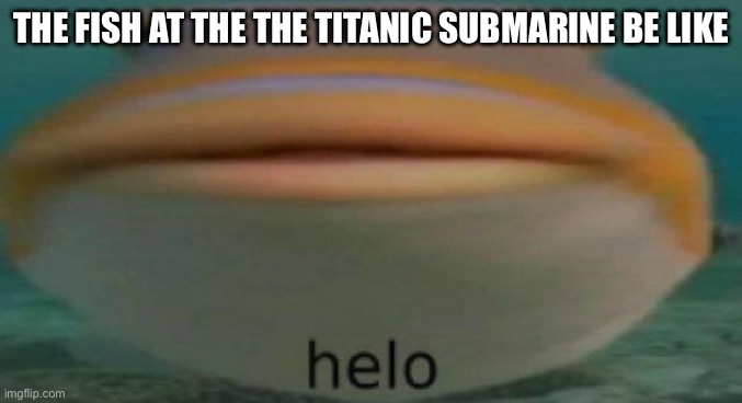 helo | THE FISH AT THE THE TITANIC SUBMARINE BE LIKE | image tagged in helo | made w/ Imgflip meme maker