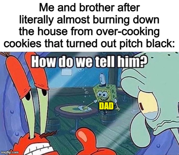 True story, just happened yesterday... x_x | Me and brother after literally almost burning down the house from over-cooking cookies that turned out pitch black:; DAD | image tagged in what do we tell him | made w/ Imgflip meme maker