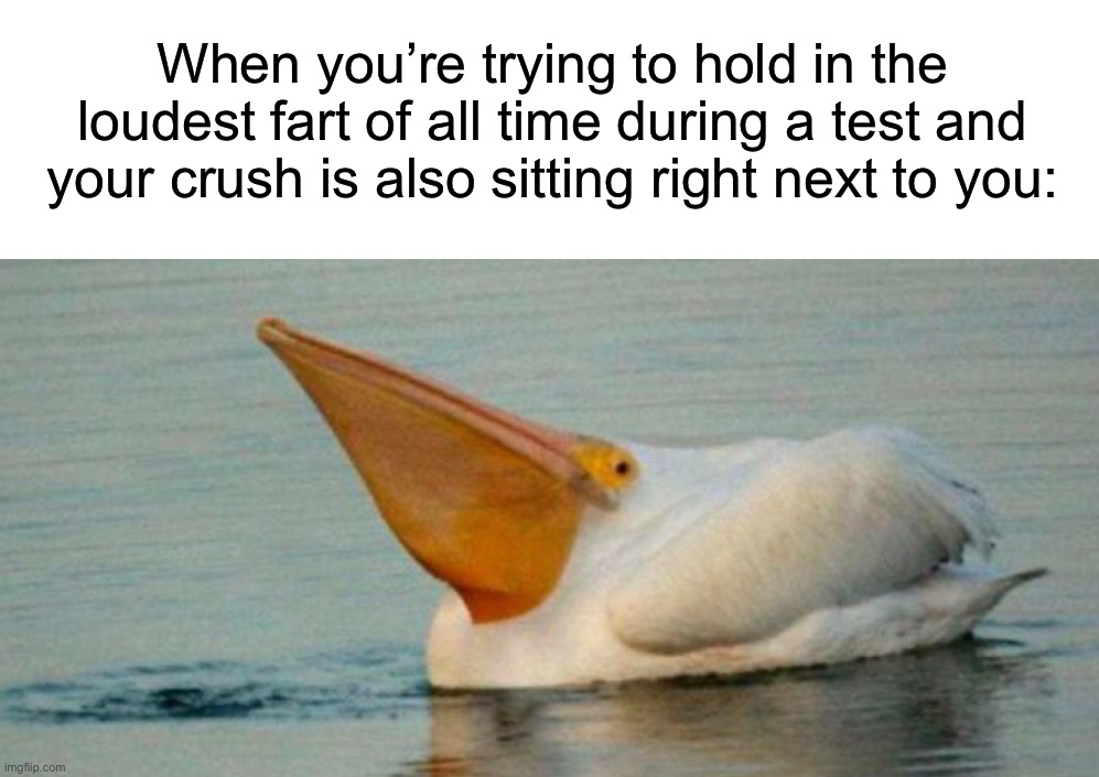 Somebody…help lol | When you’re trying to hold in the loudest fart of all time during a test and your crush is also sitting right next to you: | image tagged in memes,funny,funny memes,school,crush,oh no | made w/ Imgflip meme maker