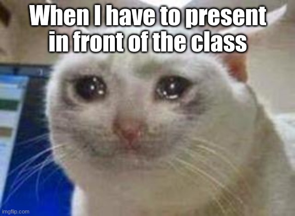 Sad cat | When I have to present in front of the class | image tagged in sad cat | made w/ Imgflip meme maker