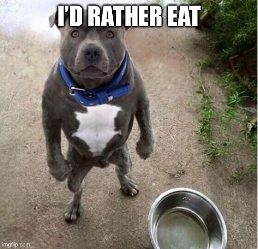 Hungry Dog | I’D RATHER EAT | image tagged in hungry dog | made w/ Imgflip meme maker